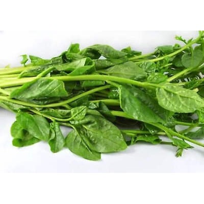 Fresh Pui Shak (Malabar Spinach)