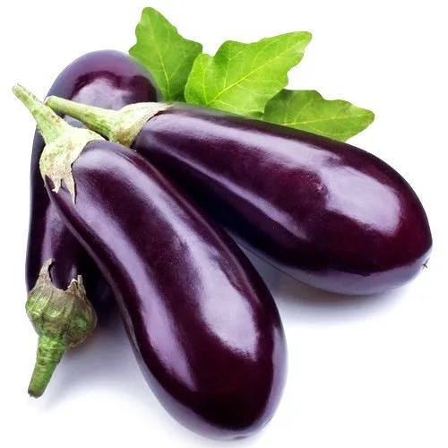 Fresh Begun (Eggplant / Brinjal)